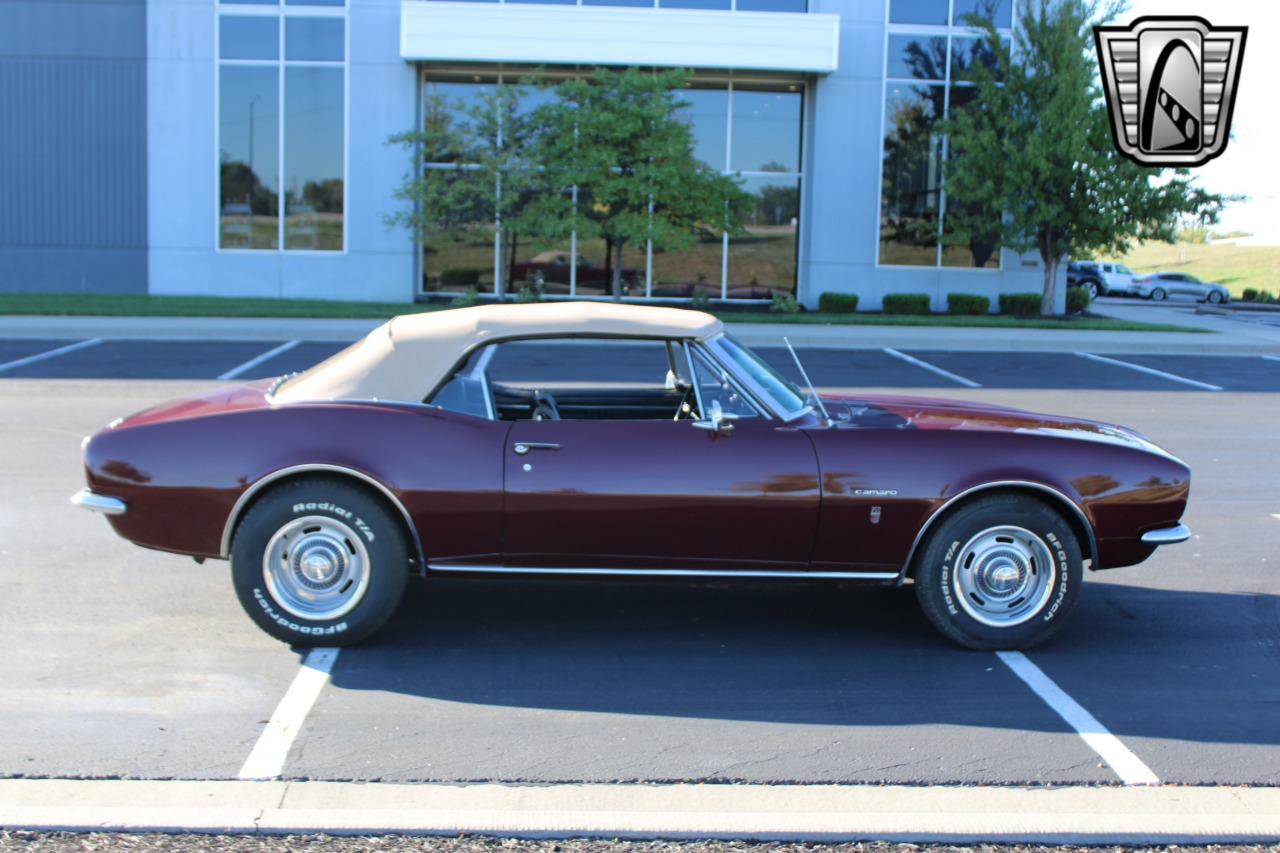 1967 Chevrolet Camaro 6