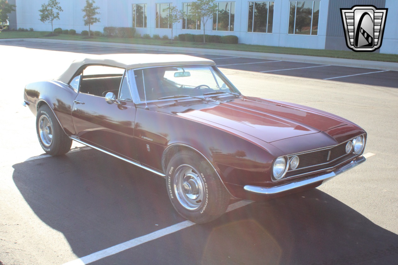 1967 Chevrolet Camaro 7