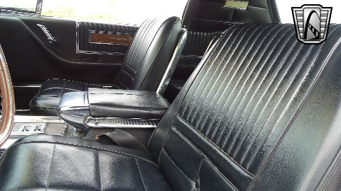 1966 Ford Thunderbird image 145