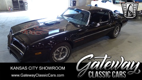 1977 Pontiac Firebird image 1