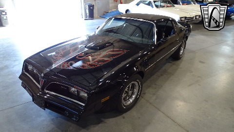 1977 Pontiac Firebird image 3