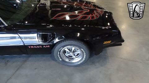 1977 Pontiac Firebird image 29
