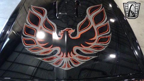 1977 Pontiac Firebird image 84