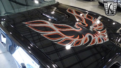 1977 Pontiac Firebird image 85