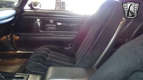 1977 Pontiac Firebird image 138