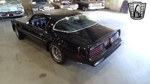 1977 Pontiac Firebird image 9