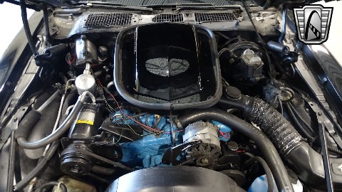 1977 Pontiac Firebird image 64