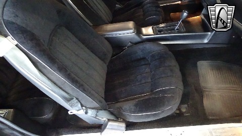 1977 Pontiac Firebird image 116