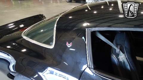 1977 Pontiac Firebird image 91