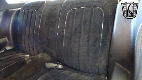 1977 Pontiac Firebird image 148