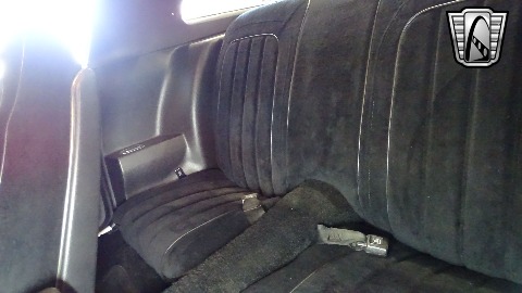 1977 Pontiac Firebird image 149