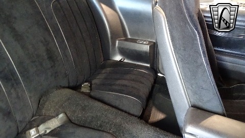 1977 Pontiac Firebird image 129