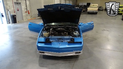 1988 Pontiac Firebird Trans-Am image 48