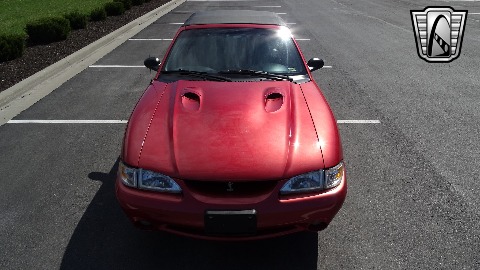 1998 Ford Mustang image 6