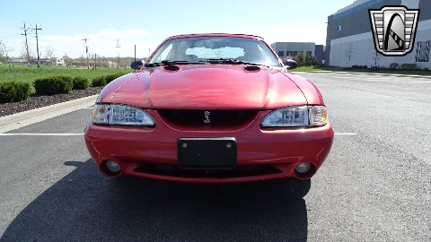 1998 Ford Mustang image 14