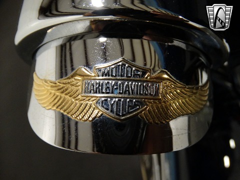 2001 Harley Davidson Police Package image 101