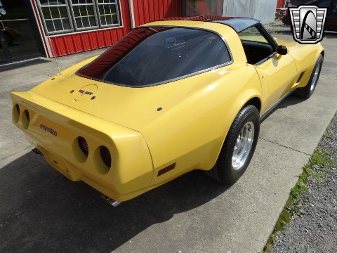 1980 Chevrolet Corvette image 133