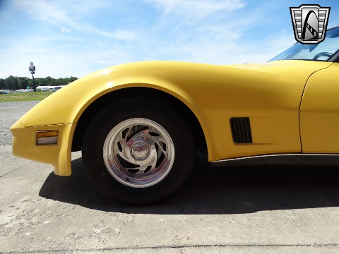 1980 Chevrolet Corvette image 30