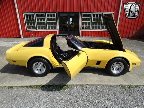 1980 Chevrolet Corvette image 59