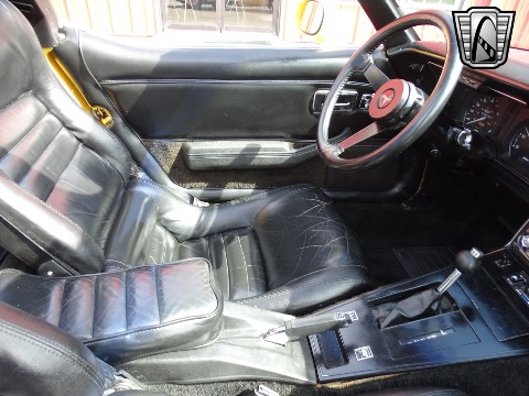 1980 Chevrolet Corvette image 116