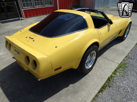 1980 Chevrolet Corvette image 16