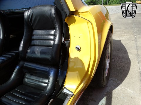 1980 Chevrolet Corvette image 94