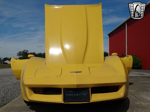 1980 Chevrolet Corvette image 43