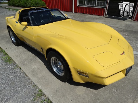 1980 Chevrolet Corvette image 18
