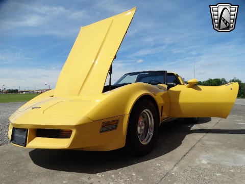 1980 Chevrolet Corvette image 44