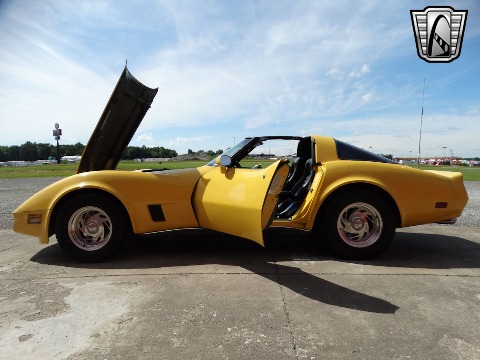 1980 Chevrolet Corvette image 45