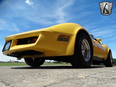 1980 Chevrolet Corvette image 20