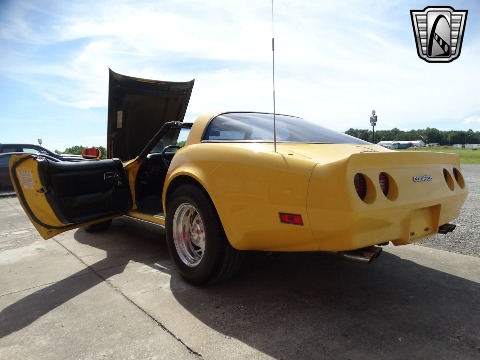 1980 Chevrolet Corvette image 46