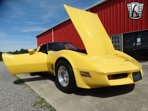 1980 Chevrolet Corvette image 50
