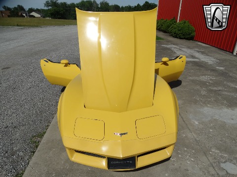 1980 Chevrolet Corvette image 51