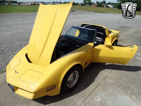 1980 Chevrolet Corvette image 52