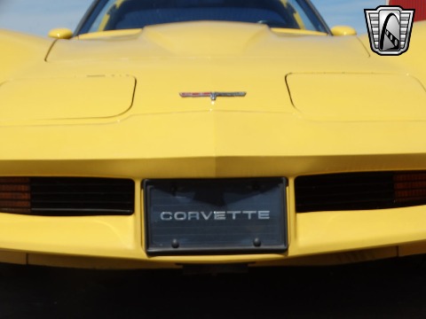1980 Chevrolet Corvette image 28