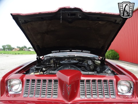 1974 Pontiac Grand Am image 91