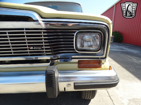 1979 Jeep Wagoneer image 29