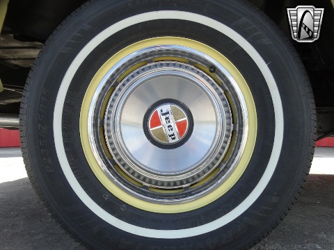 1979 Jeep Wagoneer image 44