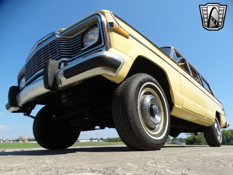 1979 Jeep Wagoneer image 20