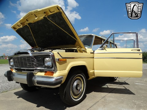1979 Jeep Wagoneer image 46