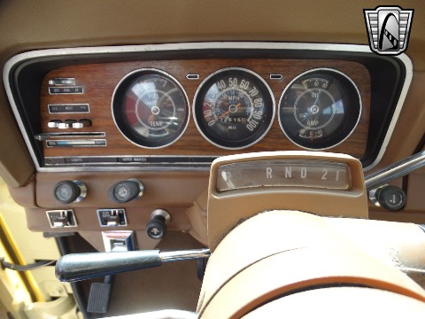 1979 Jeep Wagoneer image 101