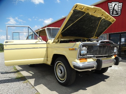 1979 Jeep Wagoneer image 52