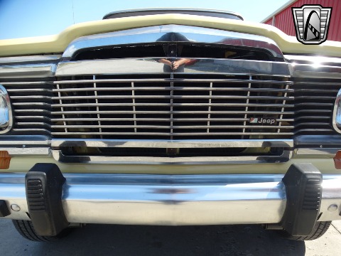 1979 Jeep Wagoneer image 28