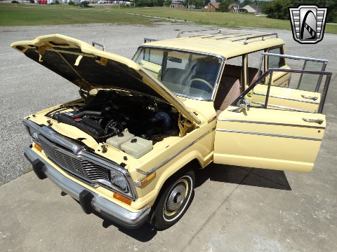 1979 Jeep Wagoneer image 54