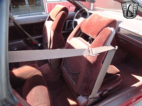 1988 Toyota Supra image 124