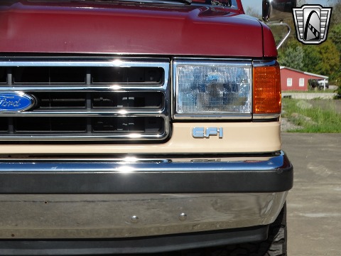 1990 Ford F150 image 29