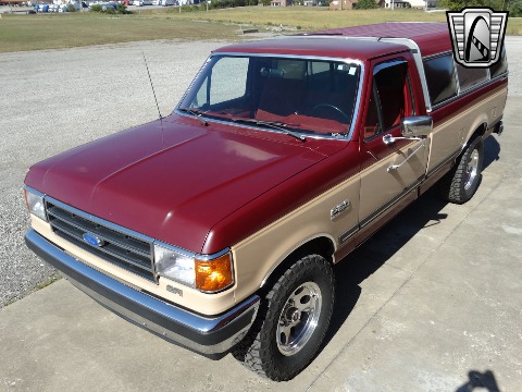 1990 Ford F150 image 12