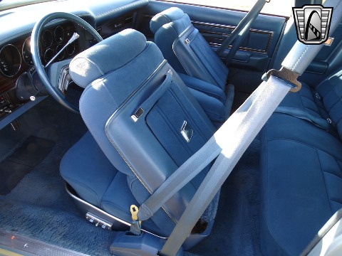 1978 Ford Thunderbird image 111