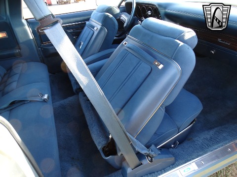 1978 Ford Thunderbird image 118